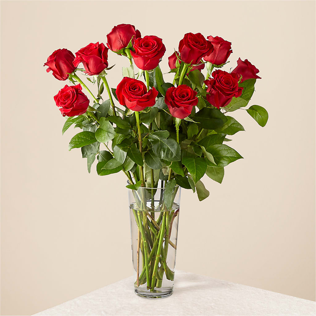 Long Stem Red Rose Bouquet – Fiesta, Las Cruces NM