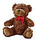 Adorable Plush Bear – Fiesta, Las Cruces NM