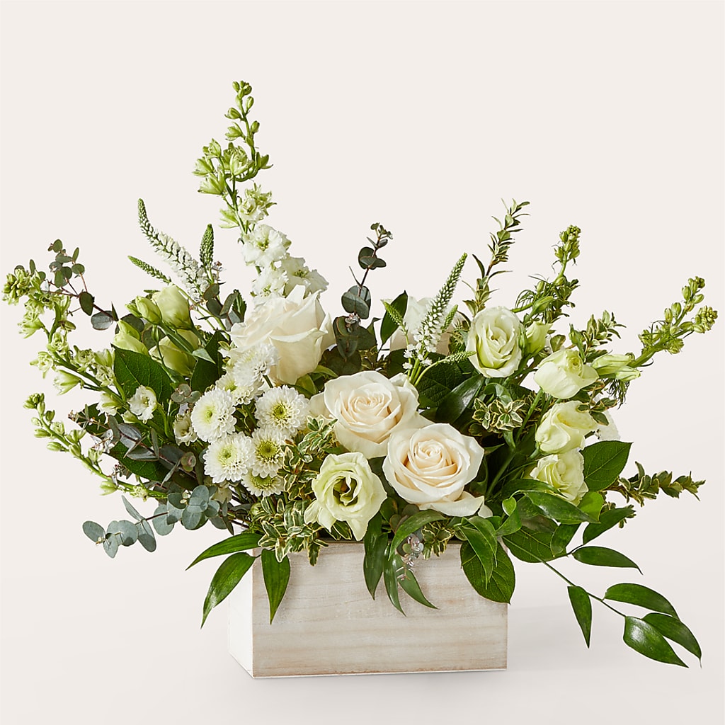 Cashmere Bouquet – Fiesta, Las Cruces NM