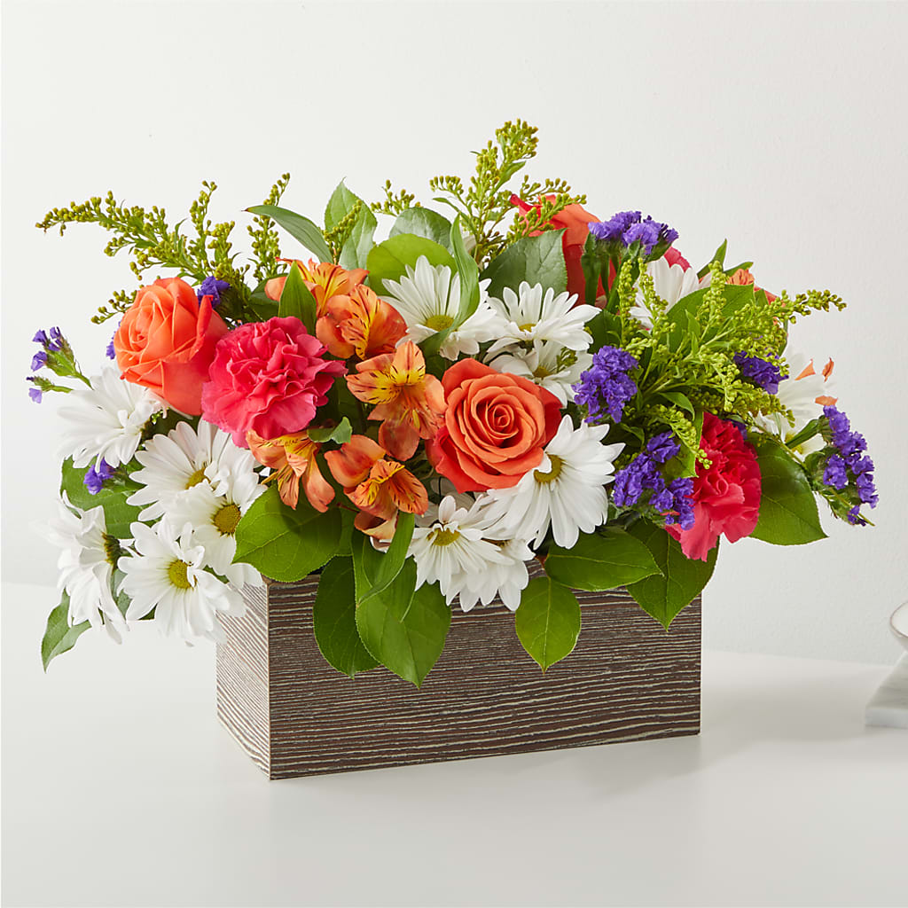 Oopsie Daisy Box Bouquet – Fiesta, Las Cruces NM