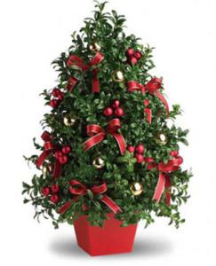 Deck The Halls – Fiesta, Las Cruces NM