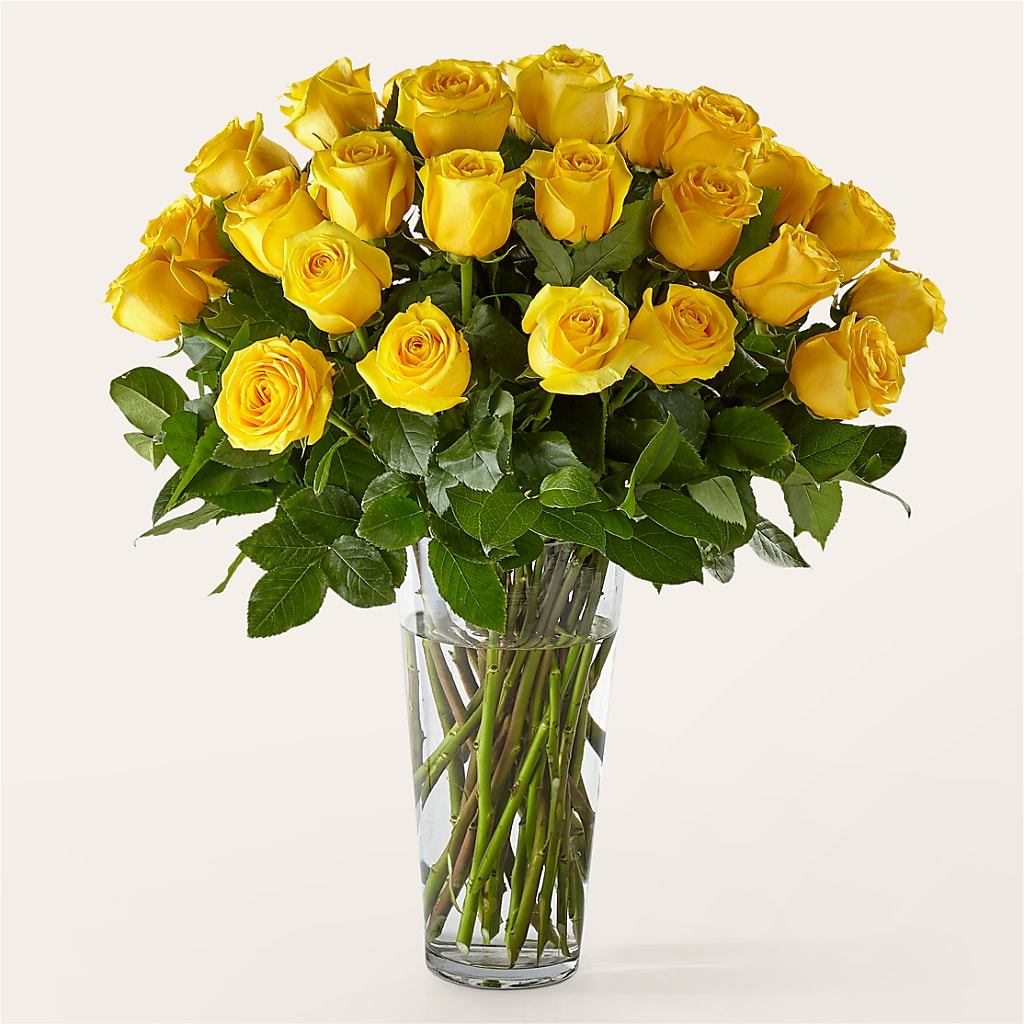 Long Stem Yellow Rose Bouquet – Fiesta, Las Cruces NM