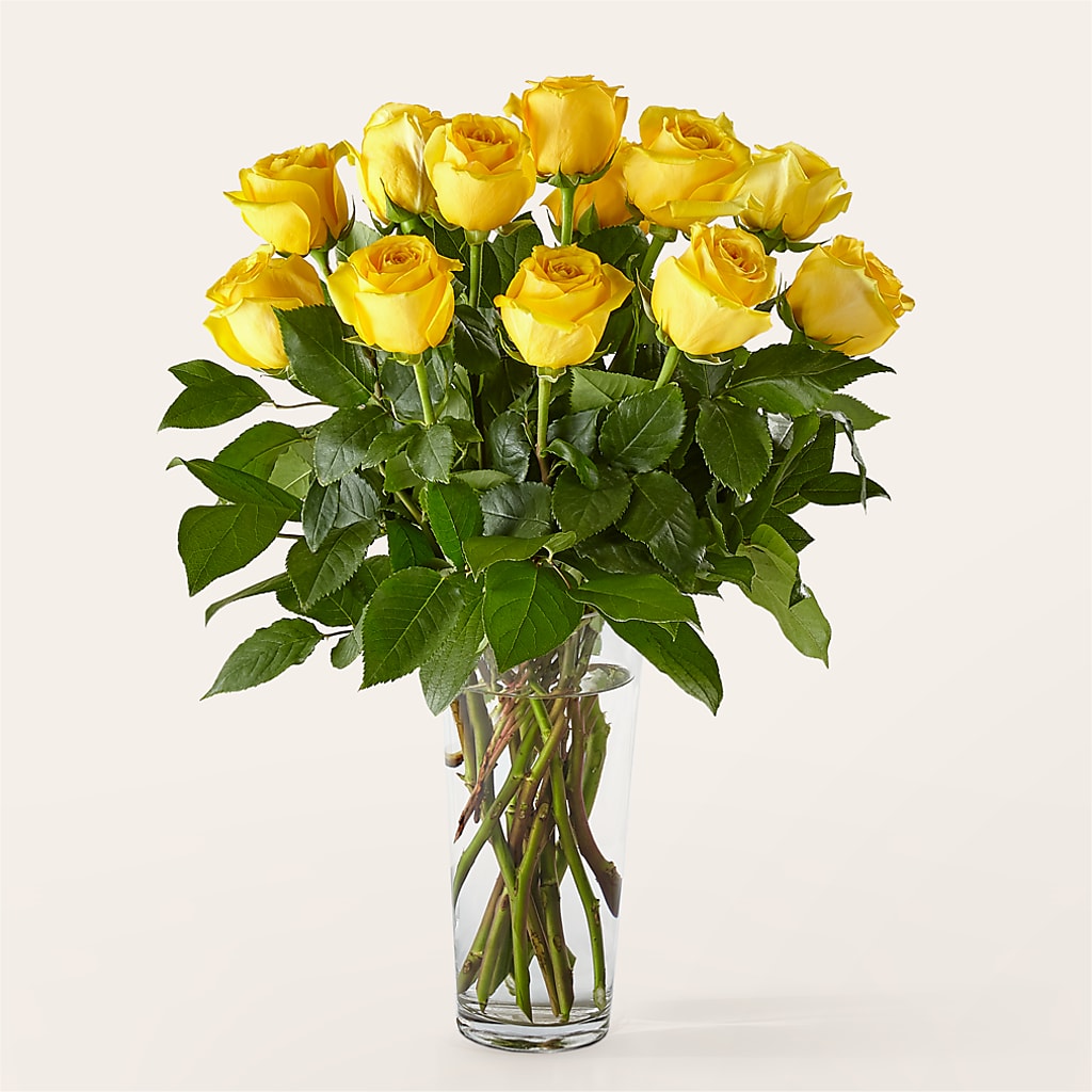Long Stem Yellow Rose Bouquet – Fiesta, Las Cruces NM