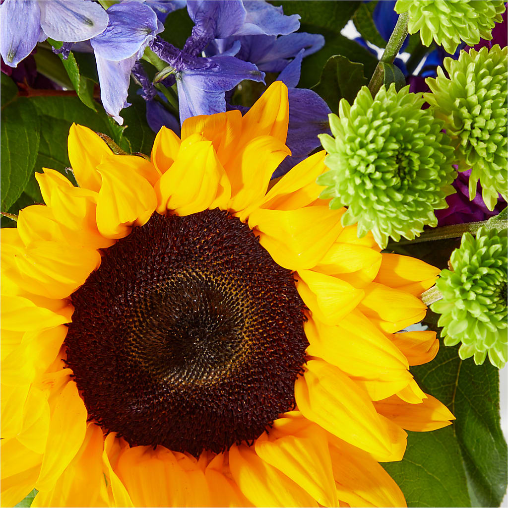 Catching Rays Bouquet – Fiesta, Las Cruces NM