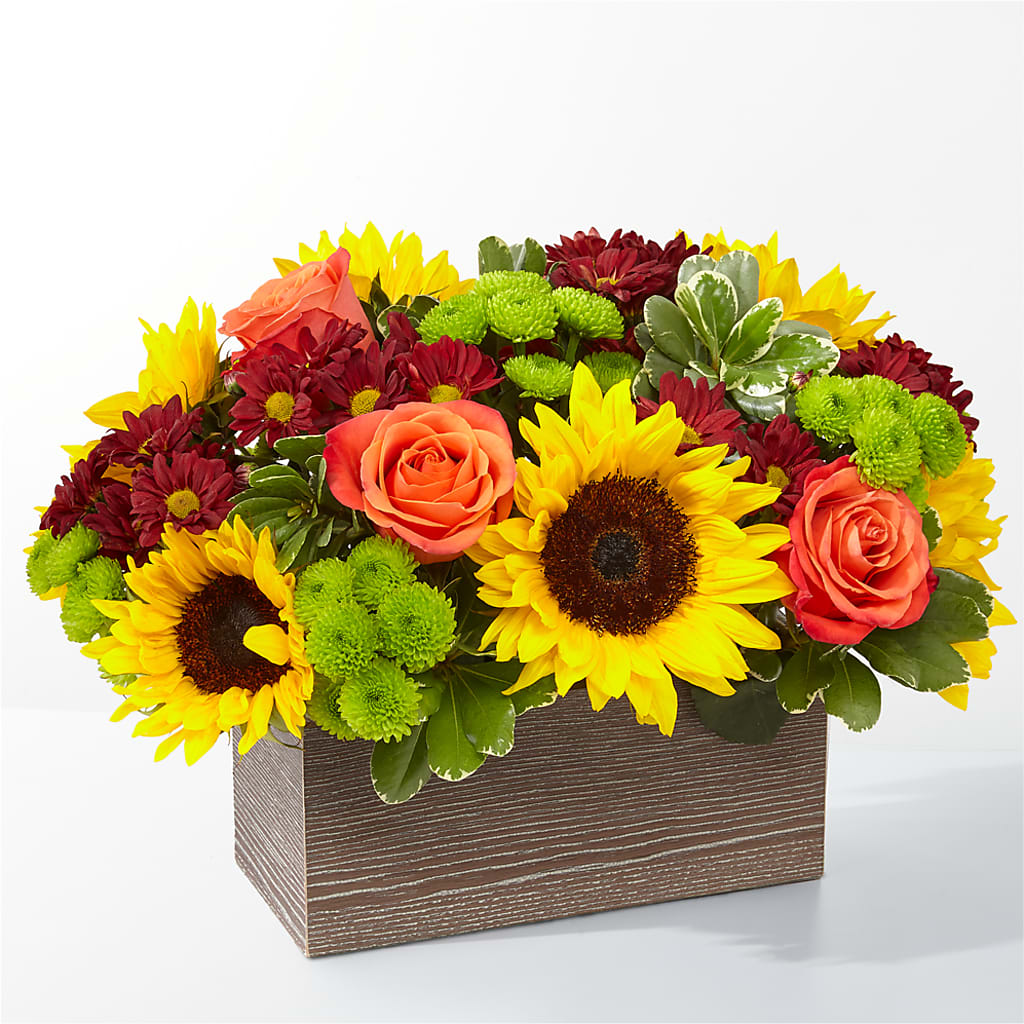Happy Harvest Garden – Fiesta, Las Cruces NM