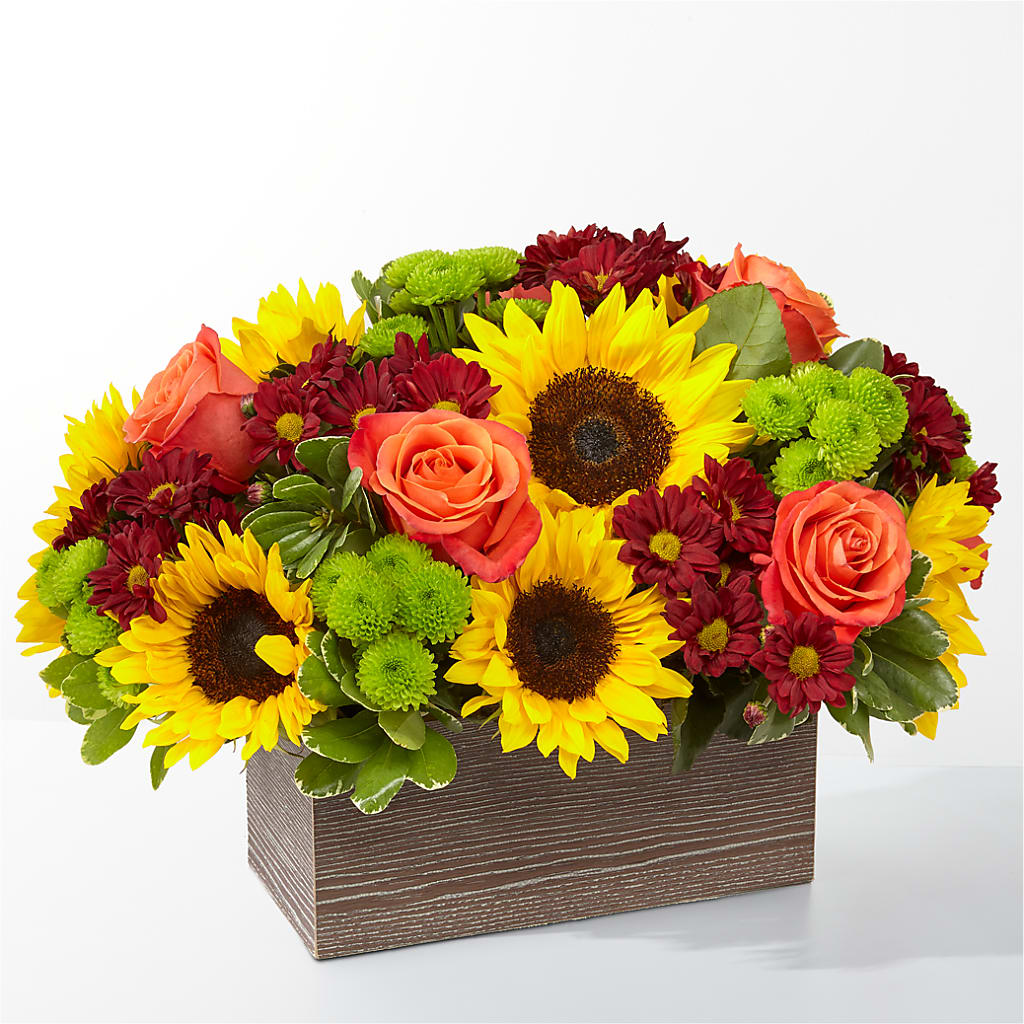 Happy Harvest Garden – Fiesta, Las Cruces NM