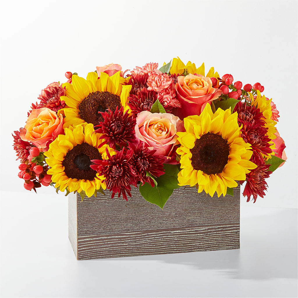Fresh Cider Bouquet – Fiesta, Las Cruces NM