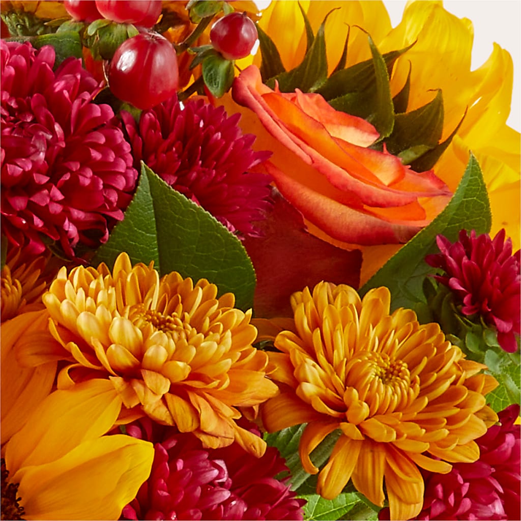 Sweater Season - A Florist Original – Fiesta, Las Cruces NM