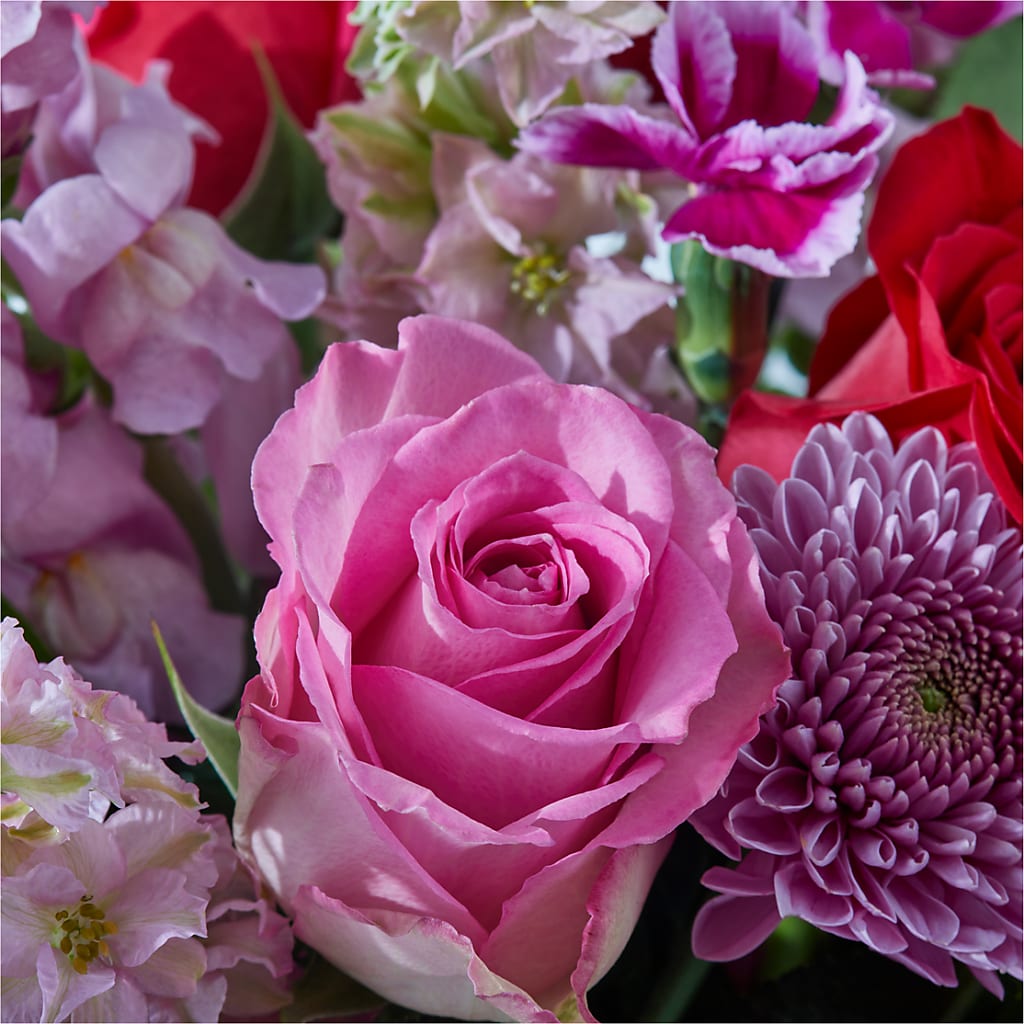 Better Together - A Luxury Florist Original – Fiesta, Las Cruces NM