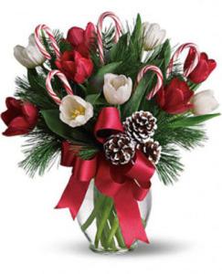 By Golly its Jolly – Fiesta, Las Cruces NM