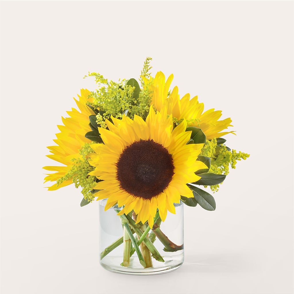 Beaming Sunflower Bouquet – Fiesta, Las Cruces NM