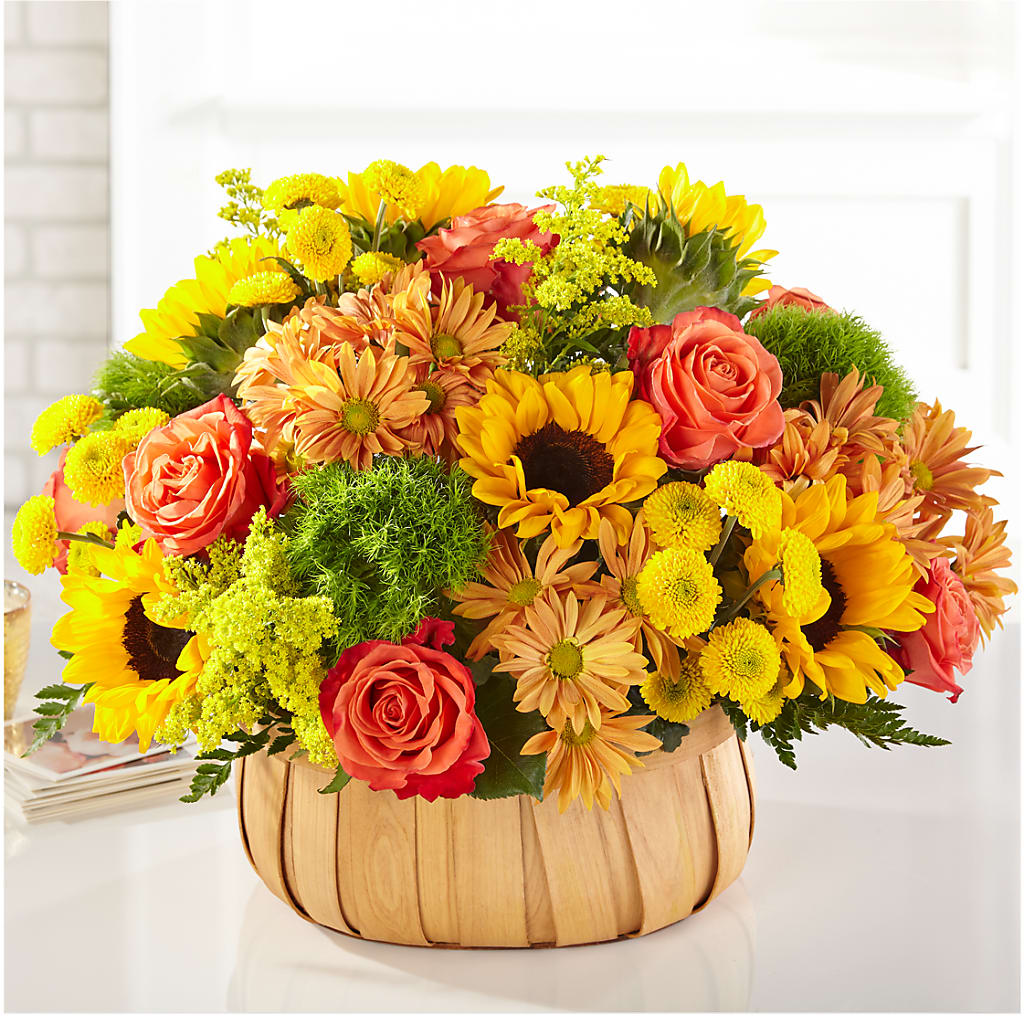 Harvest Sunflower Basket – Fiesta, Las Cruces NM