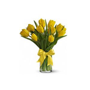 Sunny Yellow Tulips – Fiesta, Las Cruces NM