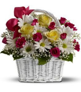 DAISY DREAMS BSKT – Fiesta, Las Cruces NM