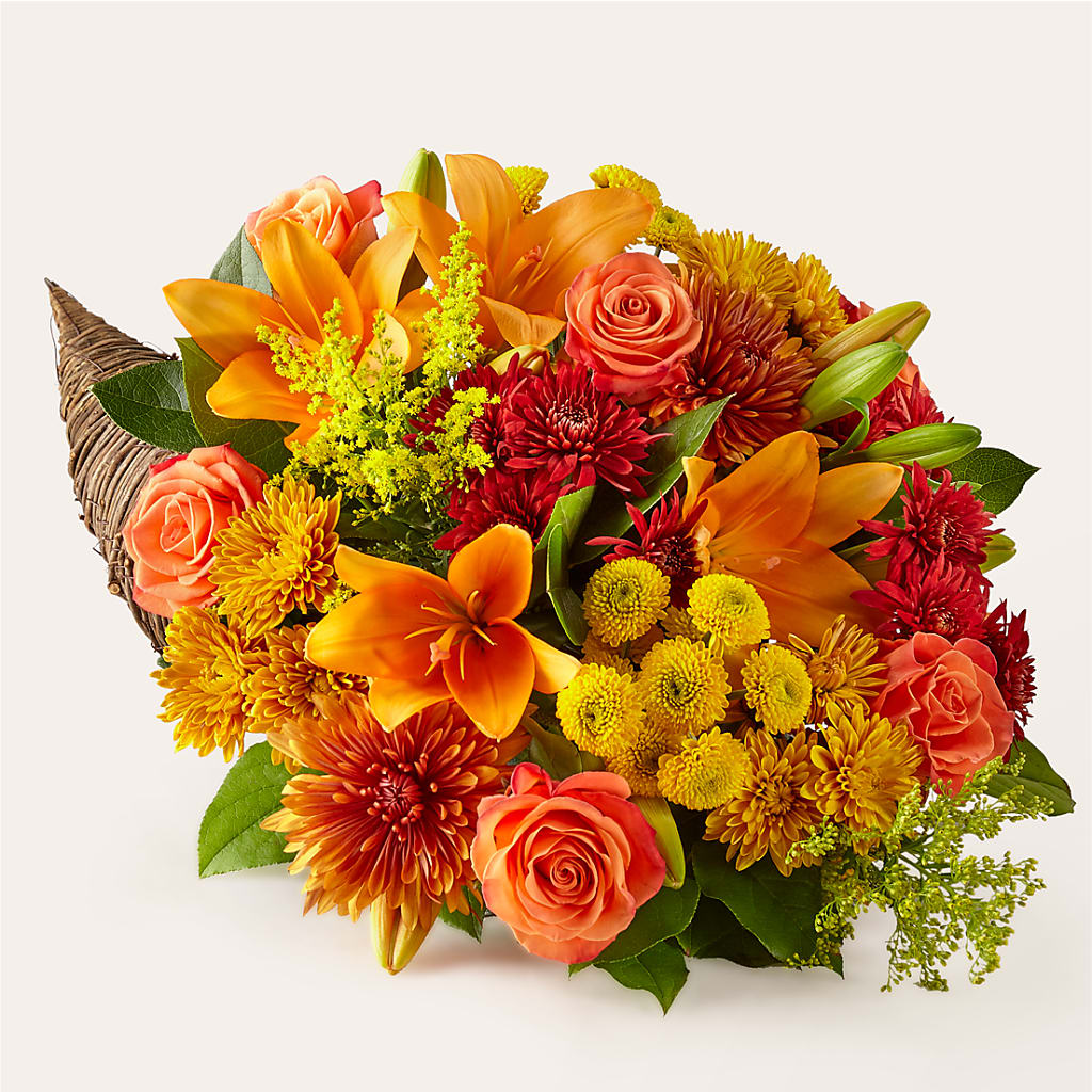 Feast of Color Cornucopia – Fiesta, Las Cruces NM