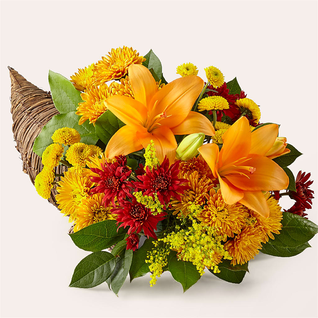 Feast of Color Cornucopia – Fiesta, Las Cruces NM