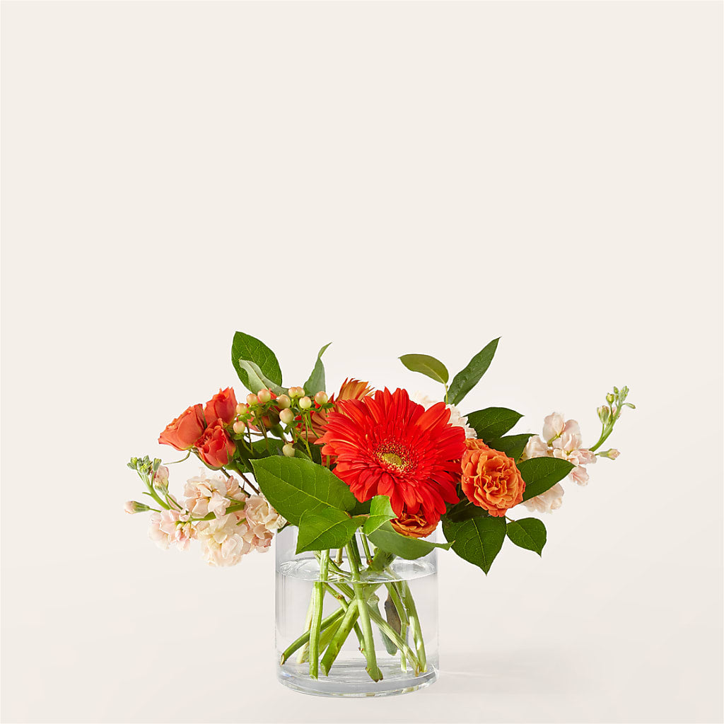 Paloma Please Bouquet – Fiesta, Las Cruces NM