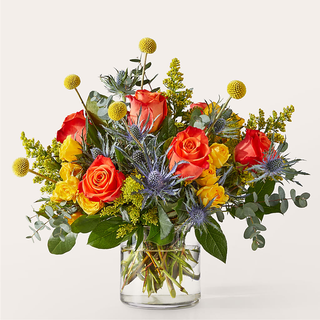 Disco Bouquet – Fiesta, Las Cruces NM