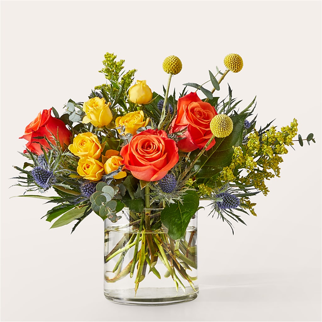 Disco Bouquet – Fiesta, Las Cruces NM