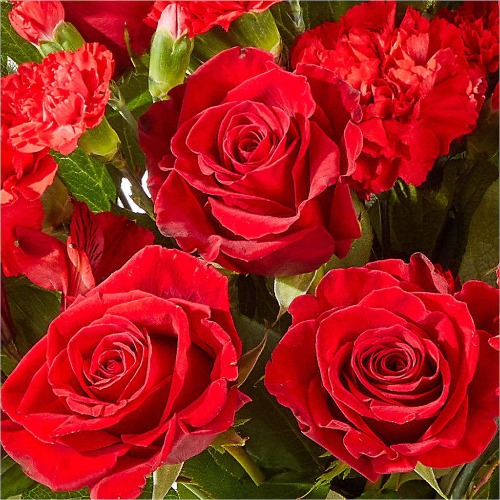 The Heartstrings Bouquet – Fiesta, Las Cruces NM