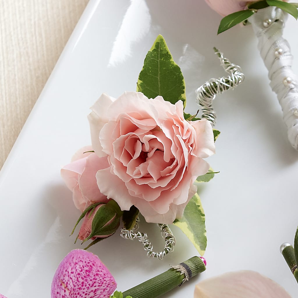 Pink Spray Rose Boutonniere – Fiesta, Las Cruces NM