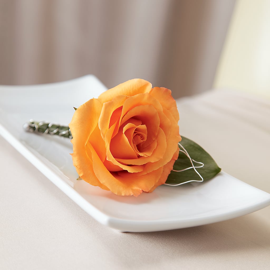 Lifetime of Love Boutonniere – Fiesta, Las Cruces NM