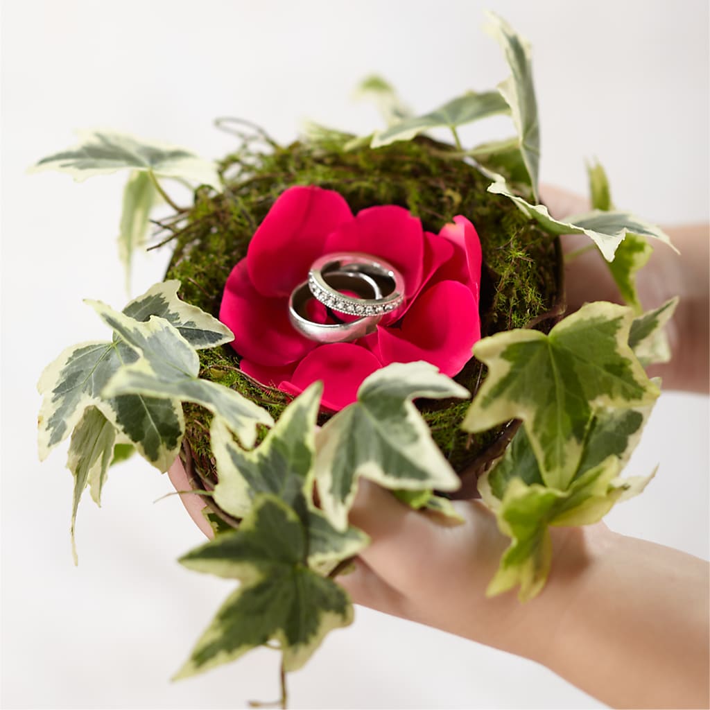 Lila Rose Ring Nest – Fiesta, Las Cruces NM