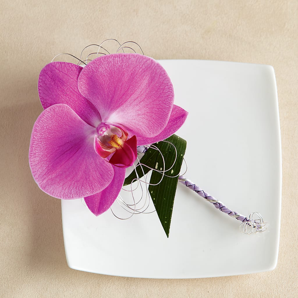 Glorious Boutonniere – Fiesta, Las Cruces NM