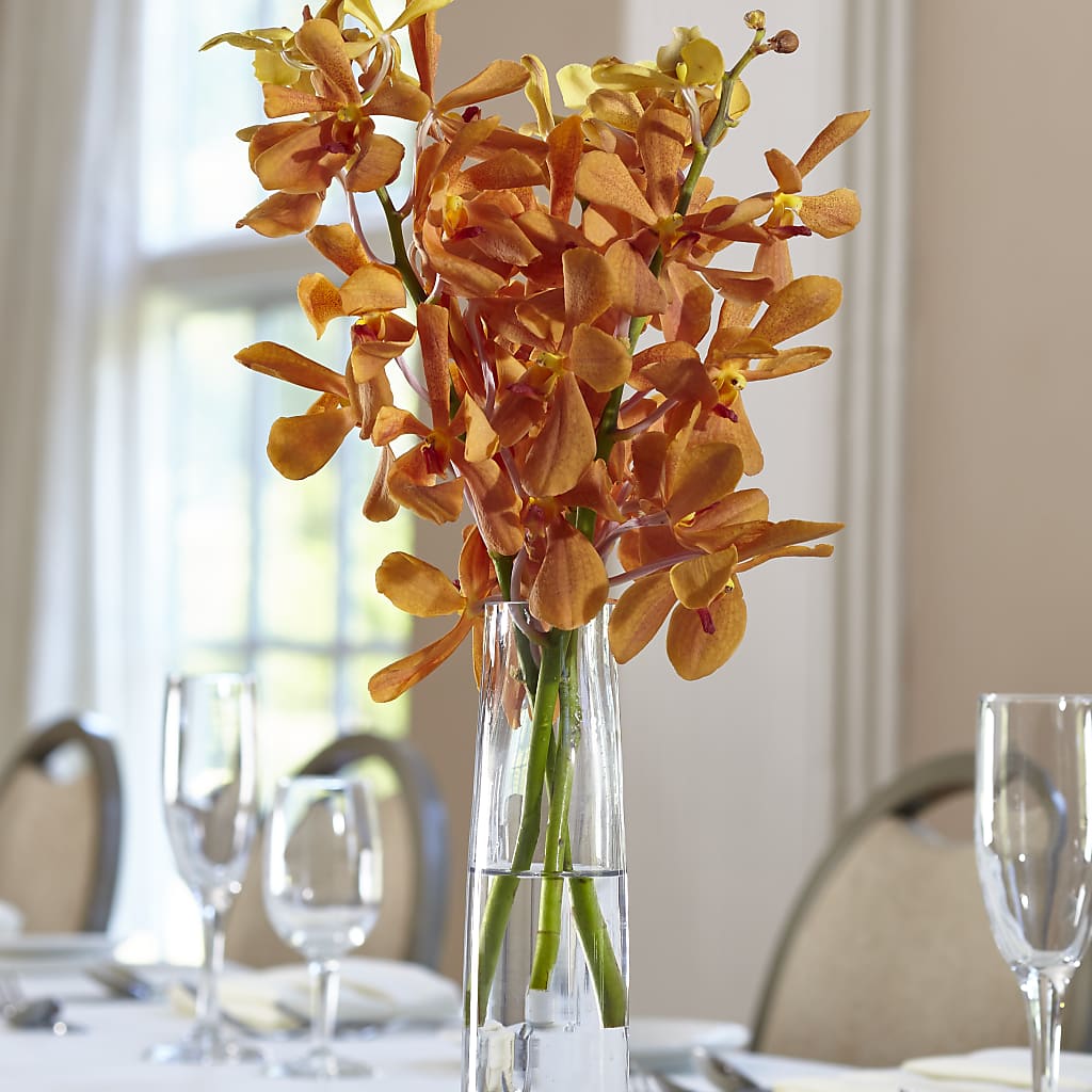 Orange Mokara Bud Vase – Fiesta, Las Cruces NM