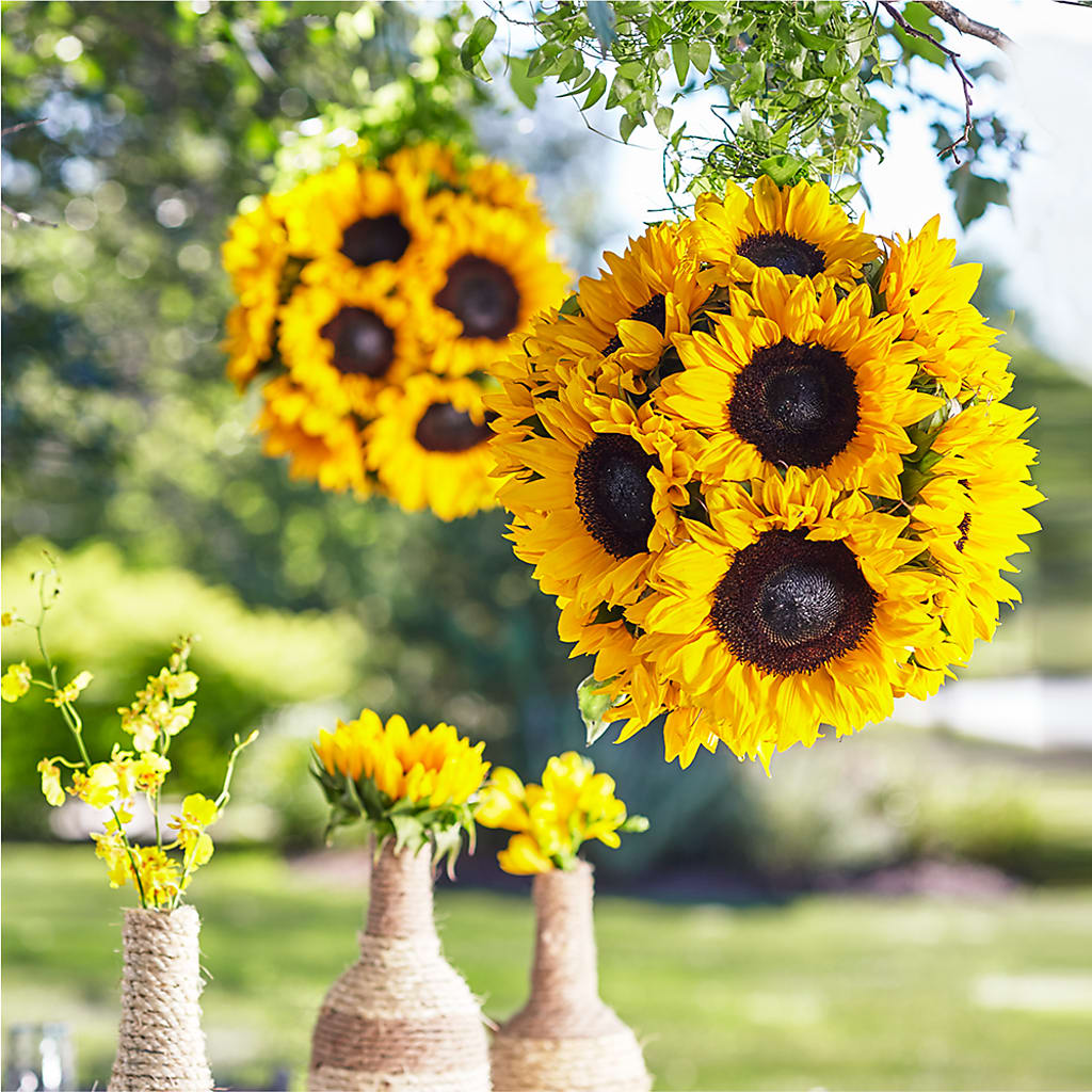 Sublime Garden Hanging Arrangement – Fiesta, Las Cruces NM