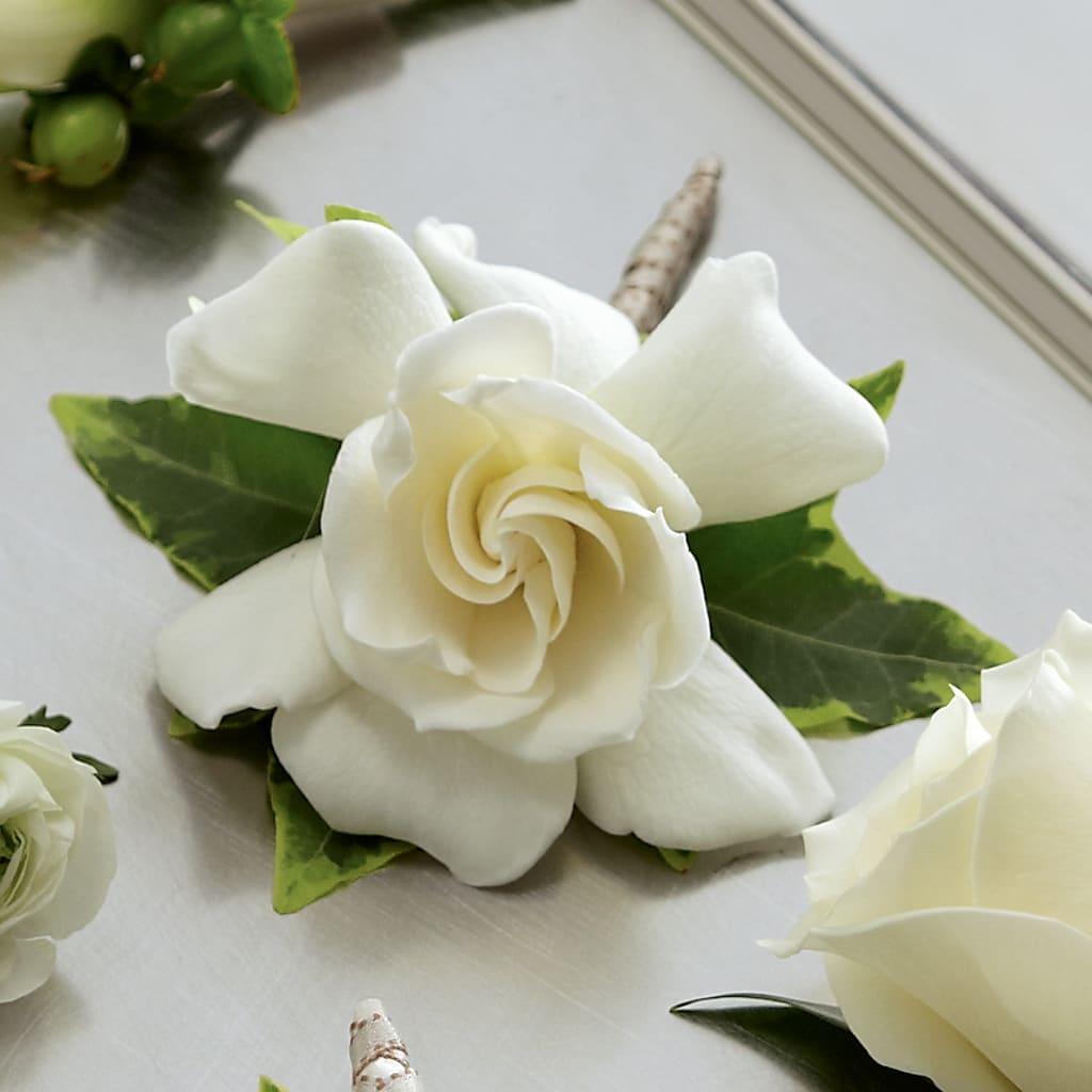 Gardenia Boutonniere – Fiesta, Las Cruces NM