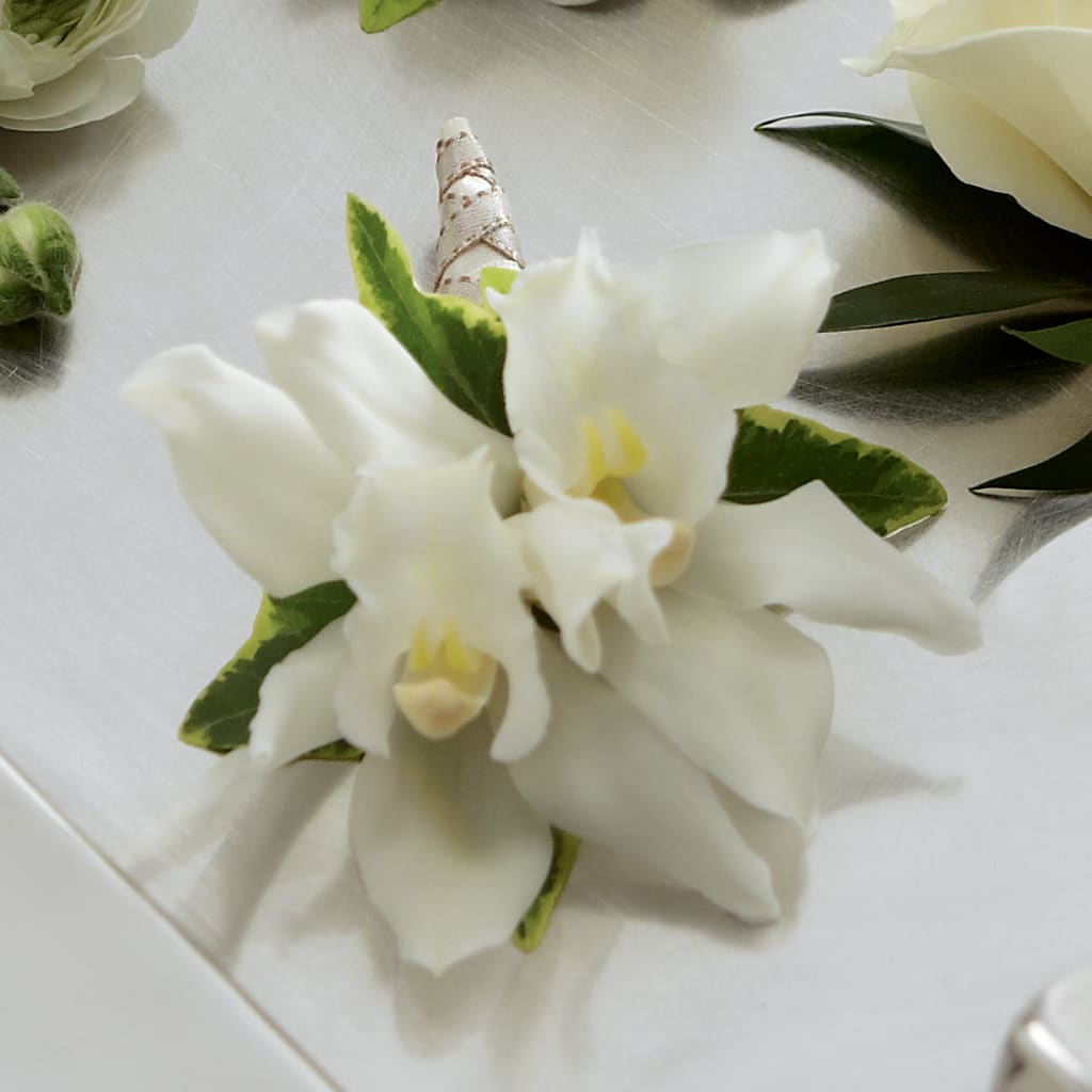 White Mini Cymbidium Boutonniere – Fiesta, Las Cruces NM