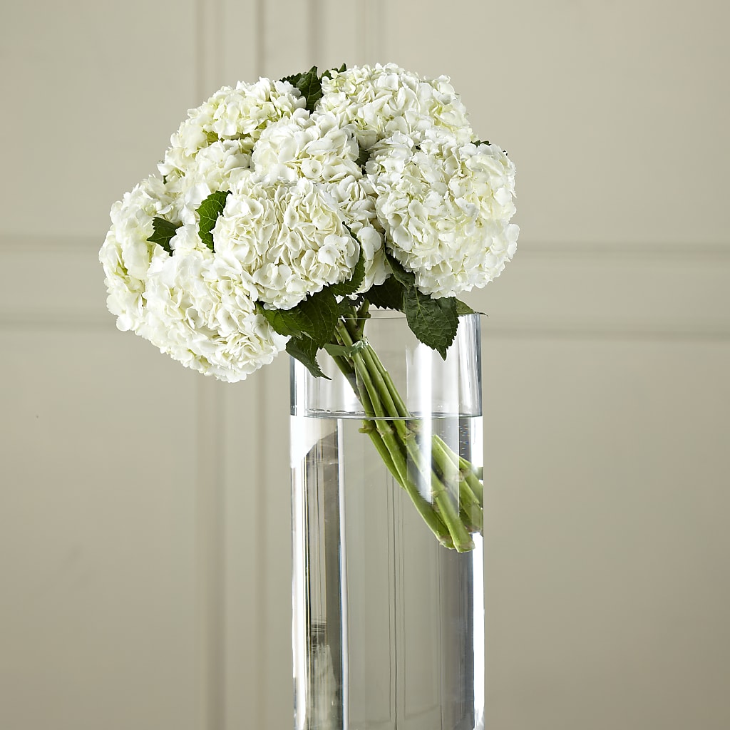White Hydrangea Hand-Tied Bouquet – Fiesta, Las Cruces NM