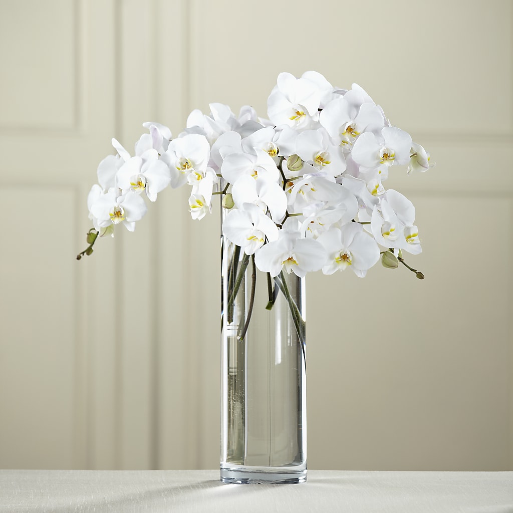 White Phalaenopsis Bouquet – Fiesta, Las Cruces NM