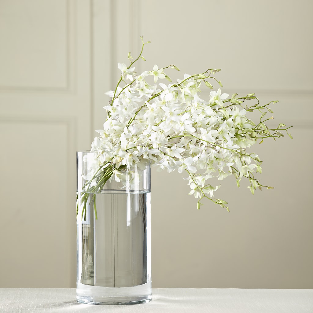 White Dendrobium Bouquet – Fiesta, Las Cruces NM