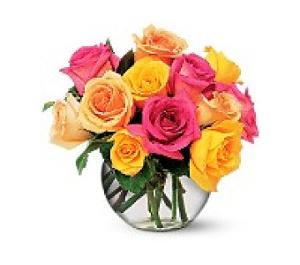 12 Mixed Color Roses –  Fiesta, Las Cruces NM