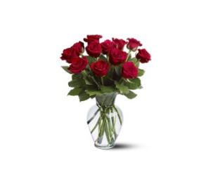 12 Red Roses –  Fiesta, Las Cruces NM