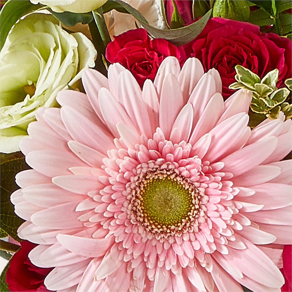 Too Cute Bouquet –  Fiesta, Las Cruces NM