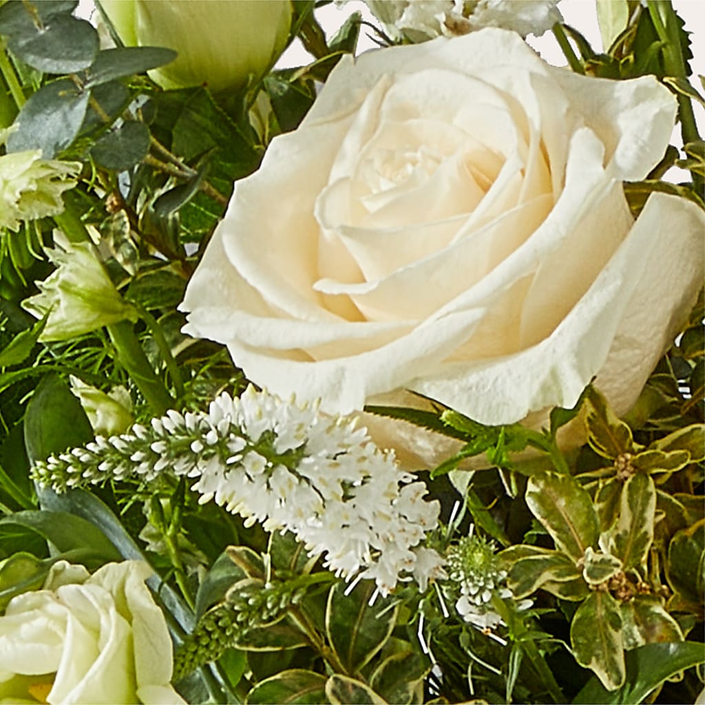 Cashmere Bouquet –  Fiesta, Las Cruces NM