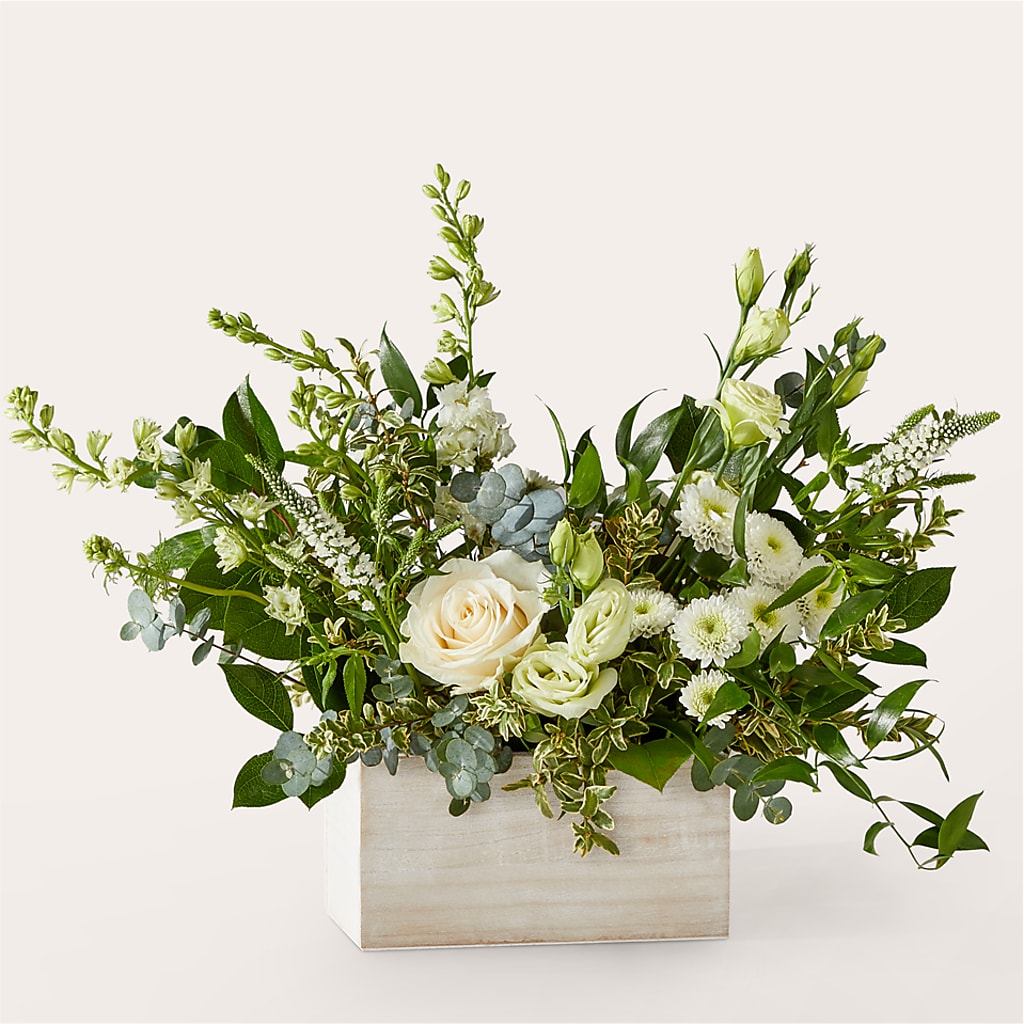 Cashmere Bouquet –  Fiesta, Las Cruces NM