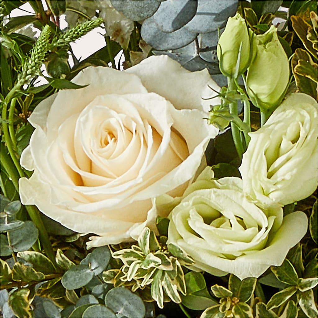 Cashmere Bouquet –  Fiesta, Las Cruces NM