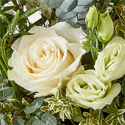 Cashmere Bouquet –  Fiesta, Las Cruces NM