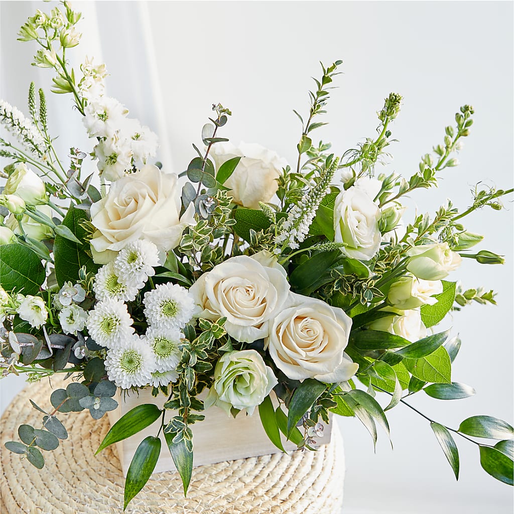 Cashmere Bouquet –  Fiesta, Las Cruces NM
