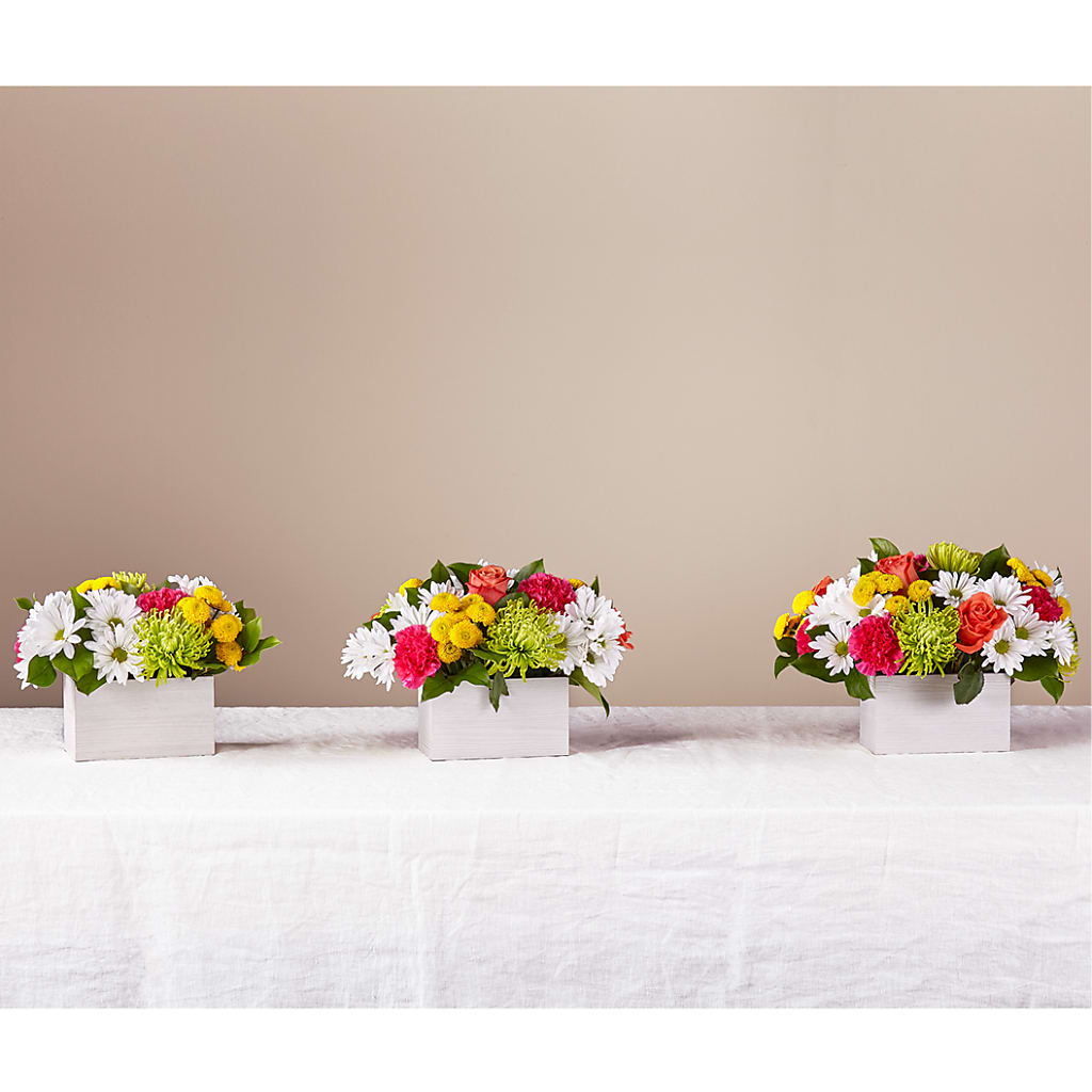 Sorbet Bouquet –  Fiesta, Las Cruces NM