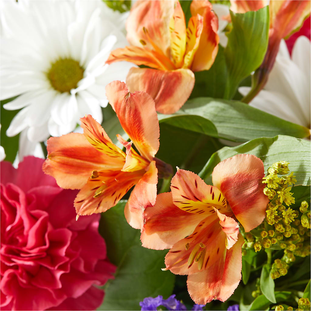 Oopsie Daisy Box Bouquet –  Fiesta, Las Cruces NM