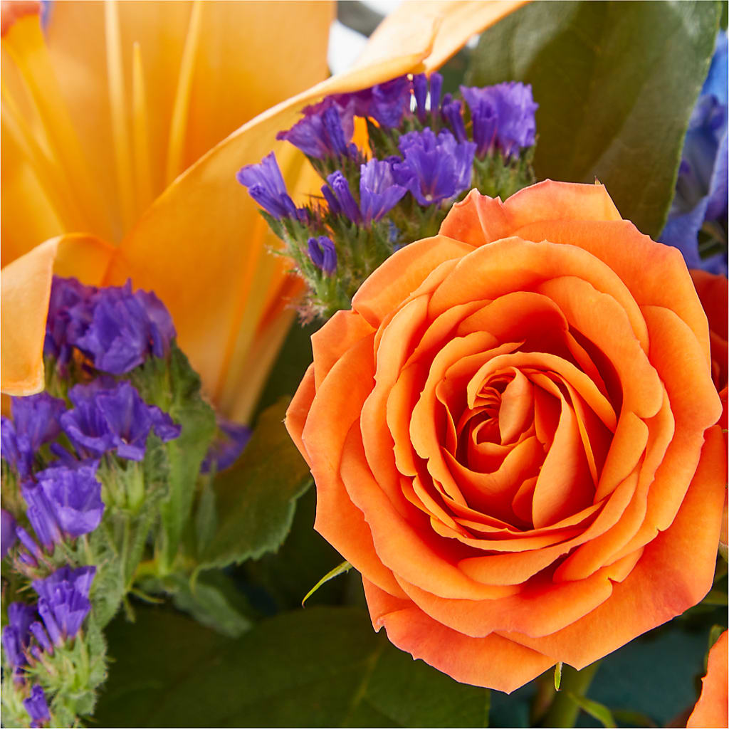 Radiant Citrus Box Bouquet –  Fiesta, Las Cruces NM