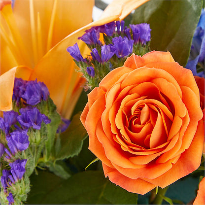 Radiant Citrus Box Bouquet –  Fiesta, Las Cruces NM