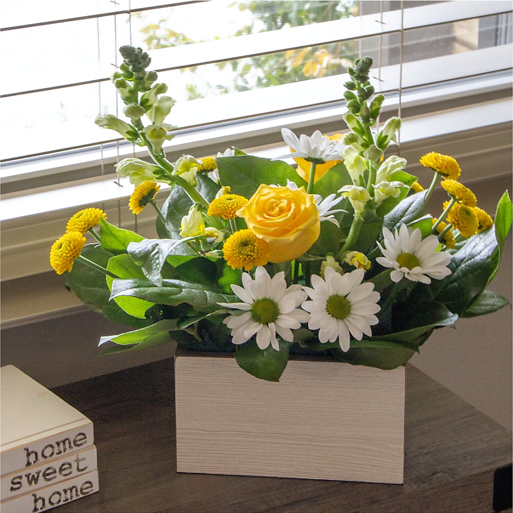Sun Salutation Box Bouquet –  Fiesta, Las Cruces NM