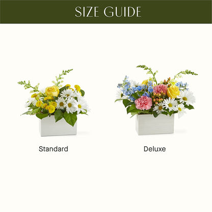 Sun Salutation Box Bouquet –  Fiesta, Las Cruces NM