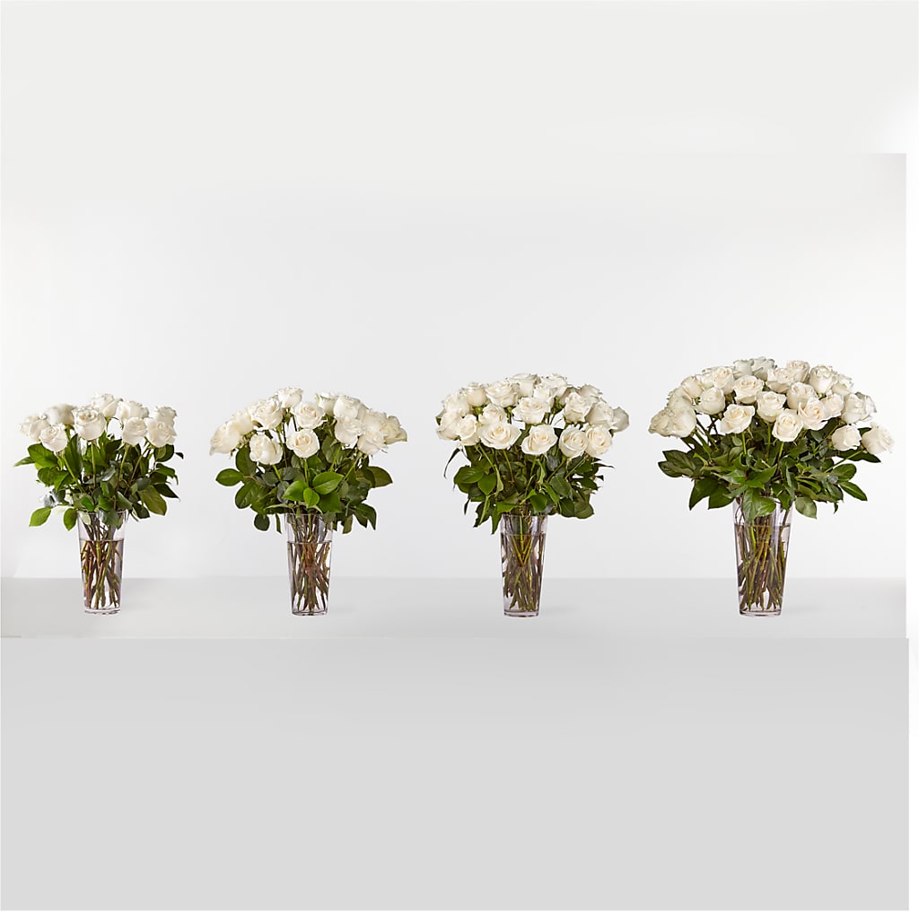 Long Stem White Rose Bouquet –  Fiesta, Las Cruces NM